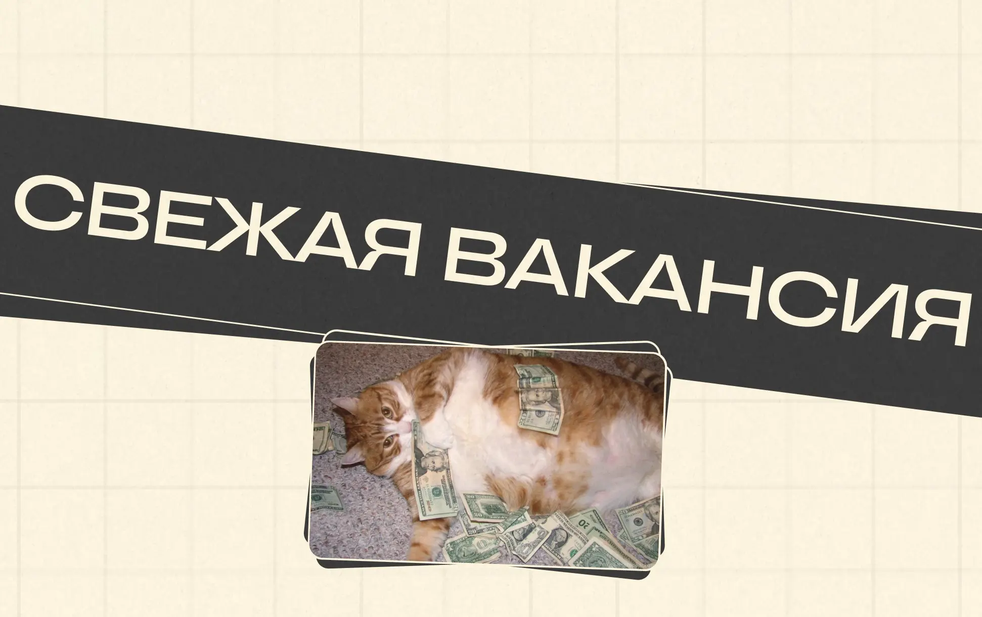 СТО / Chief Technology Officer в финтех-продукт
#СТО #ChiefTechnologyOfficer #Удаленно #Европа #Сербия #Грузия #Армения #Казахстан
Требования:
Опыт в финтехе от 5 лет на позициях Team Lead / Architect... | Сетка — социальная сеть от hh.ru