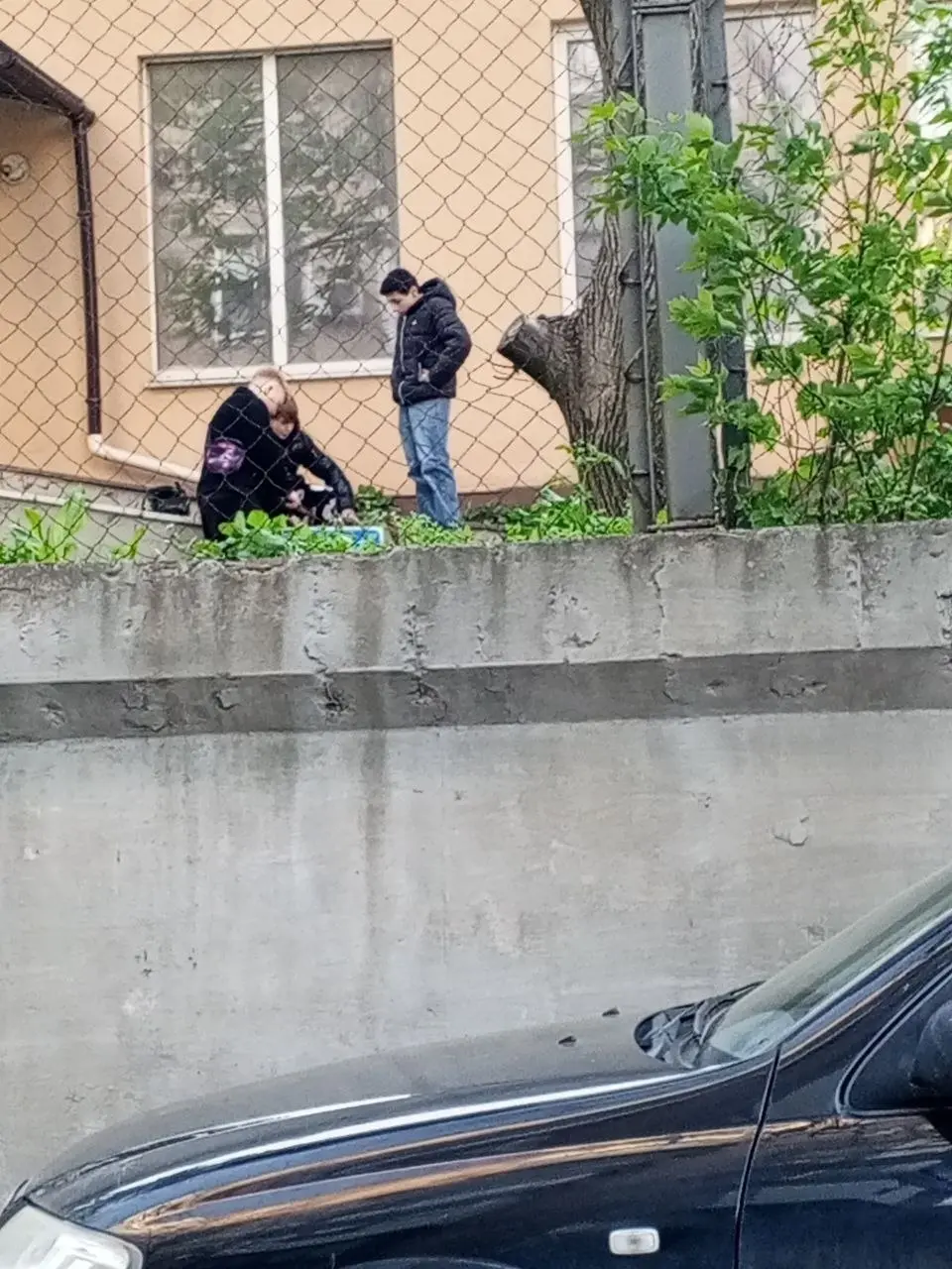 Украли знак и ломают его.
Кто узнал своих детенышей?!
Тренд какой то у них,что ли? | Сетка — социальная сеть от hh.ru