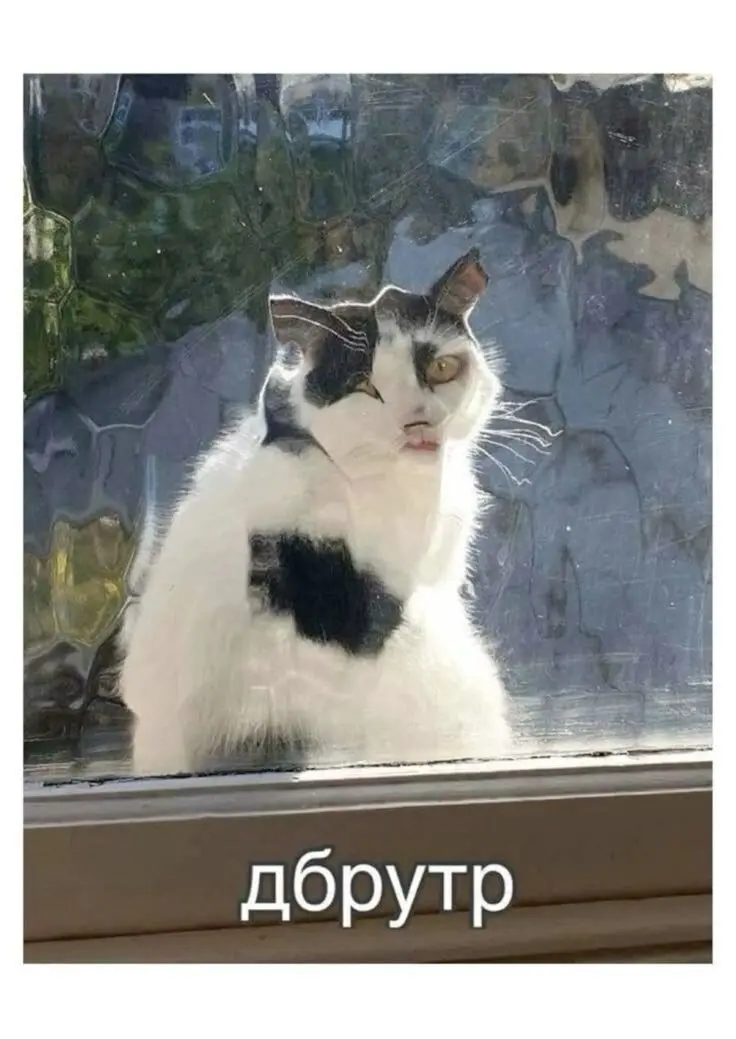 С понедельником 🔥
#вакансии #GdeRabota | Сетка — социальная сеть от hh.ru