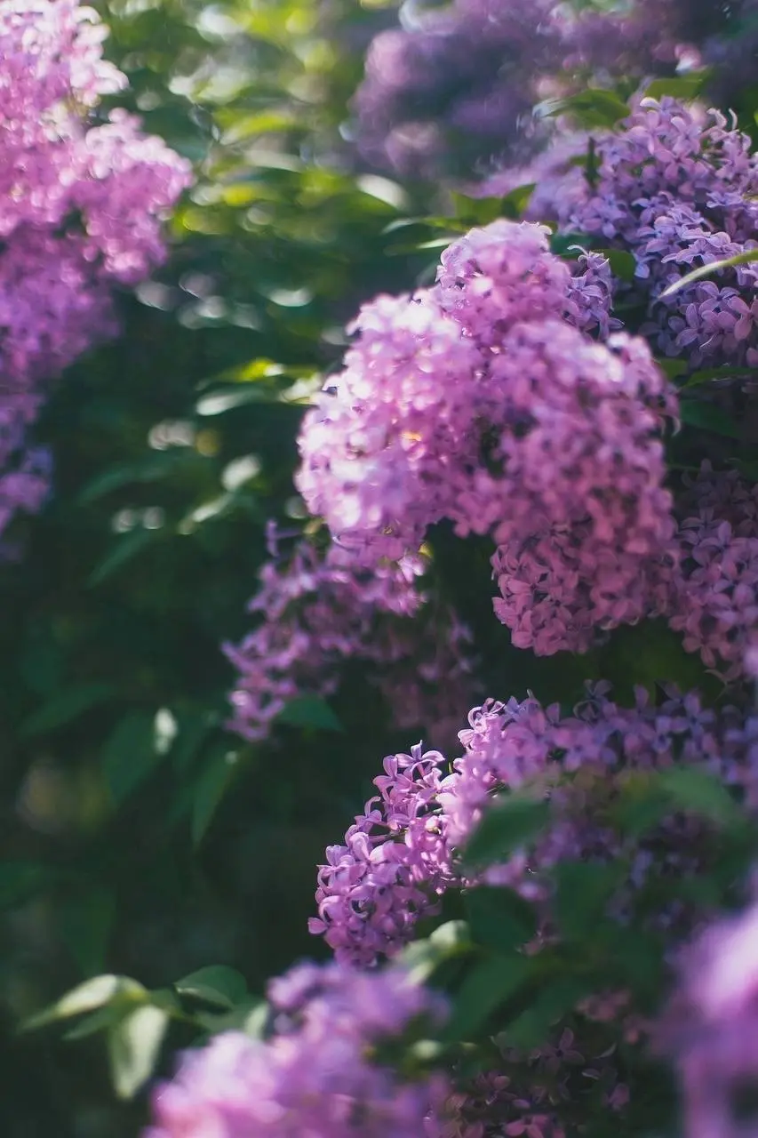 Доброе утро мои дорогие! Удачной вам короткой недели и отличного настроения 🌷 | Сетка — социальная сеть от hh.ru