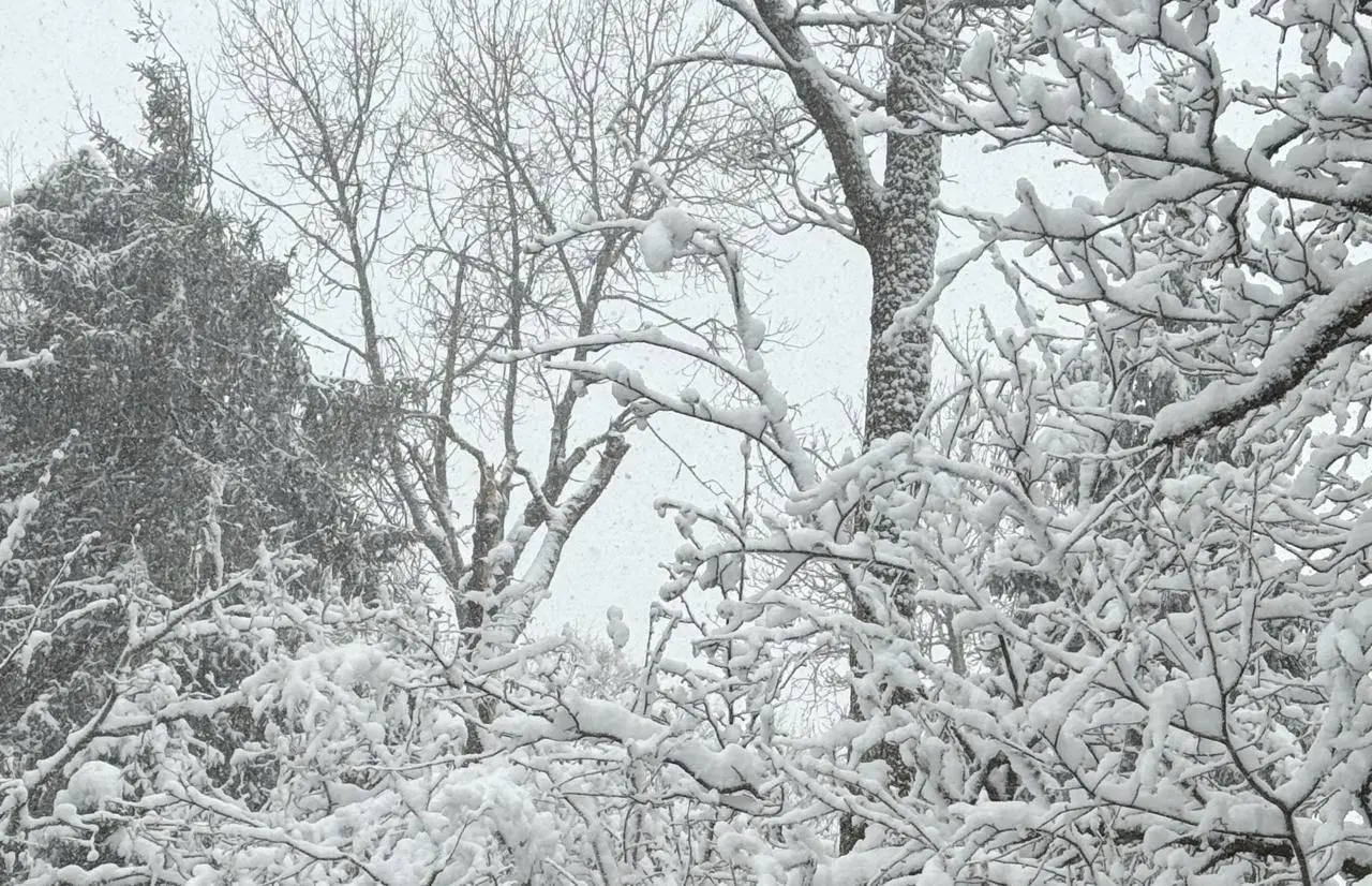 Комментарии? | Сетка — социальная сеть от hh.ru