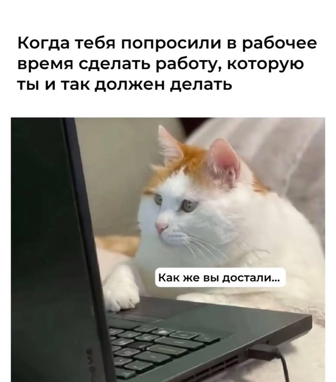 Я многого прошу? Просто переводите мне деньги
#IT
😂 ПМ 💬 MAX 🛍 Другие каналы
В этом посте были ссылки, но мы их удалили по правилам Сетки | Сетка — социальная сеть от hh.ru