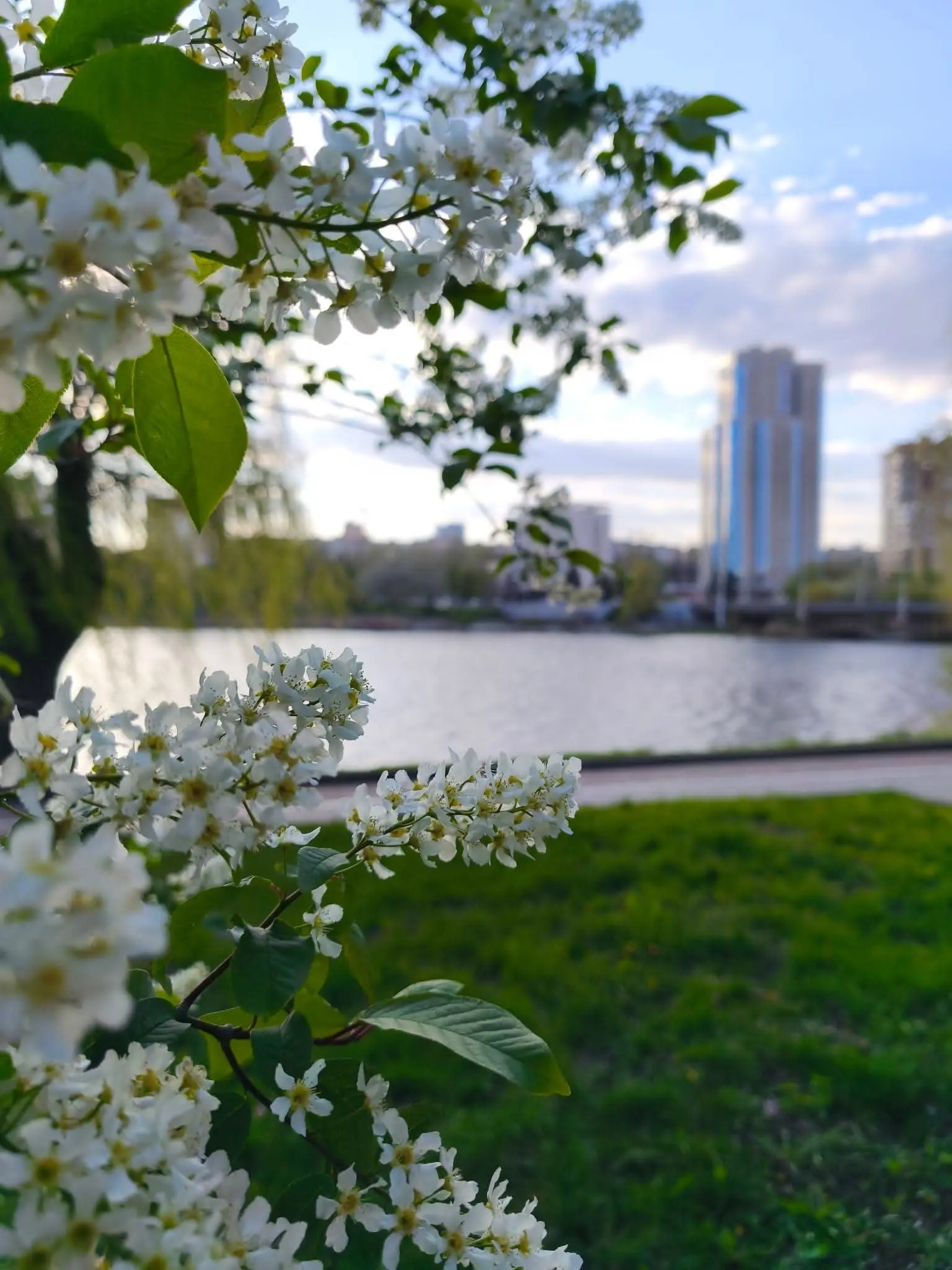 #Донецк #ДНР #Донецк2026 #ДНРжизнь #ДонецкНашДом #Новороссия #СпасениеДонбасса #ДНРСегодня #ДонецкТочно #ПовседневнаяЖизнь #ДонбасскиеНовости #СобытияДНР #Донецкаягруппановостей #ЛюбимыйДонецк #Донets... | Сетка — социальная сеть от hh.ru