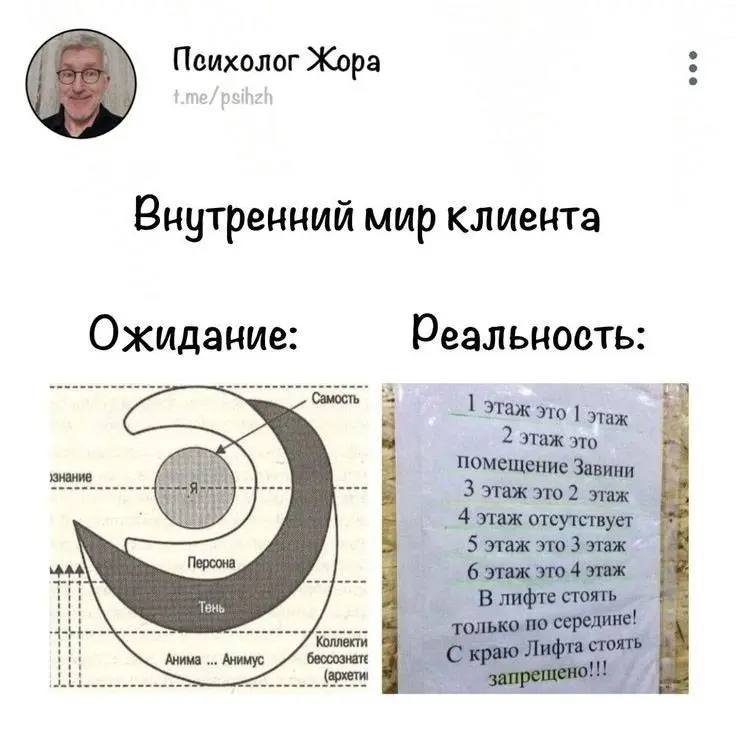 Долистала ленту до конца, так что теперь прийдется серфить лес.
В первый день я нашла 3х белок и 2х женщин с которыми я могу их обсудить | Сетка — социальная сеть от hh.ru