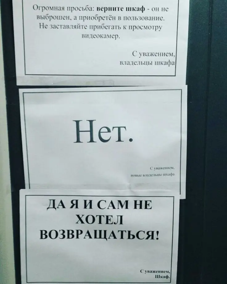 Долистала ленту до конца, так что теперь прийдется серфить лес.
В первый день я нашла 3х белок и 2х женщин с которыми я могу их обсудить | Сетка — социальная сеть от hh.ru
