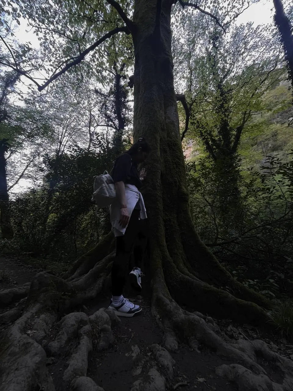 Ну что , дорогие мои , выходные закончились 🫂🫶🏻
Продолжу тему сценарных тупиков ✅
🌟Сценарный тупик № 5: «Победа только через борьбу»
Бывает ли у вас ощущение, что без напряжения, споров и преодоления ... | Сетка — социальная сеть от hh.ru