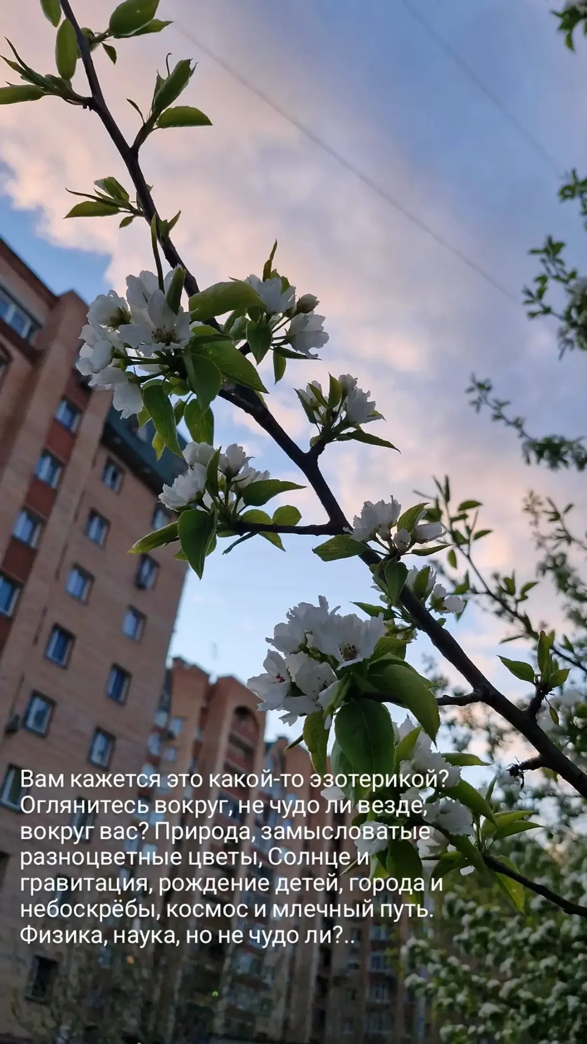 По-другому больше не работает 😉 | Сетка — социальная сеть от hh.ru