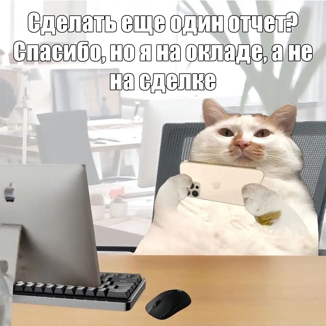 Сетка — социальная сеть от hh.ru