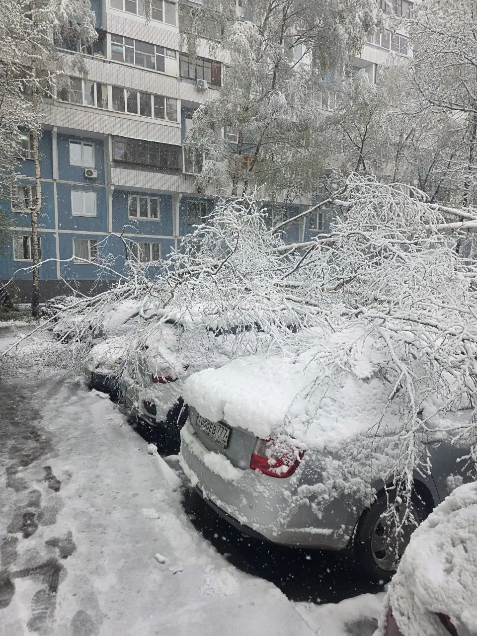 В Москве красиво в апреле | Сетка — социальная сеть от hh.ru