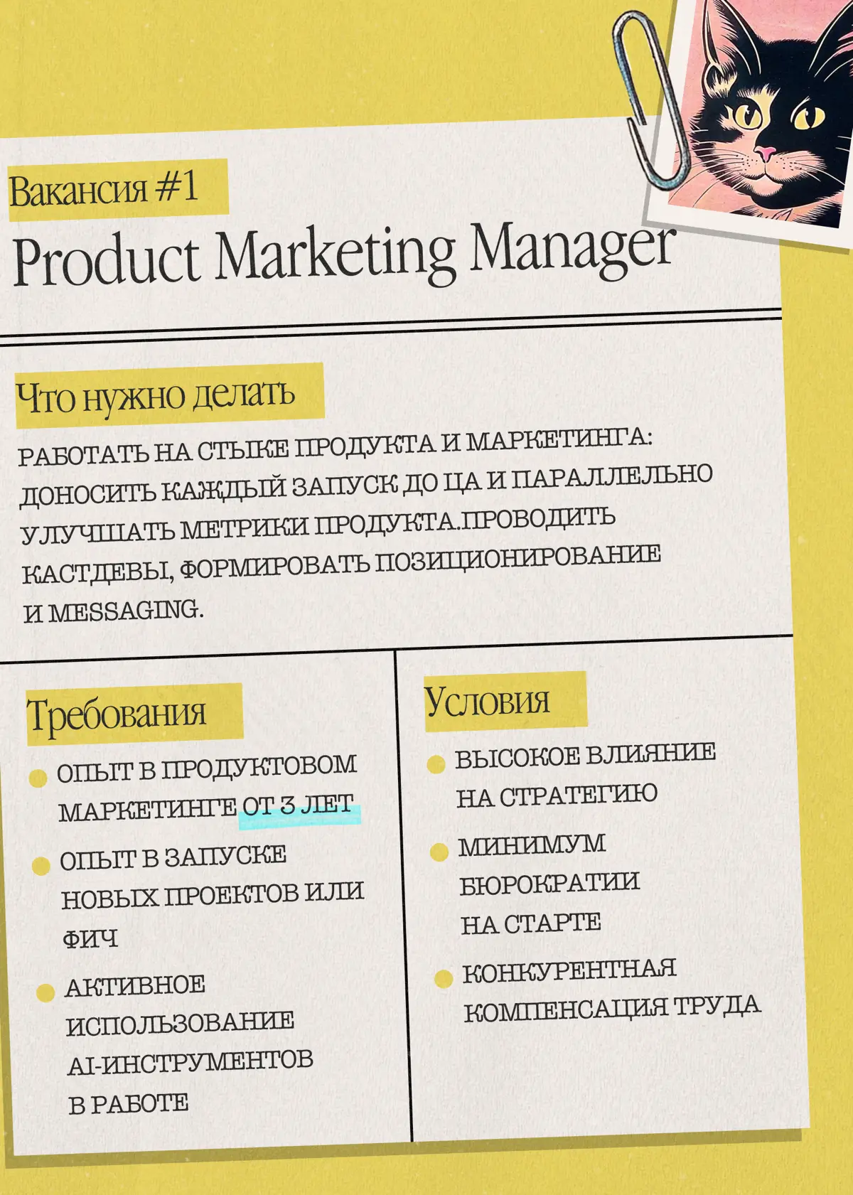 Эксклюзив для Найм-тайм: горячие вакансии, которых нигде нет | Сетка — социальная сеть от hh.ru