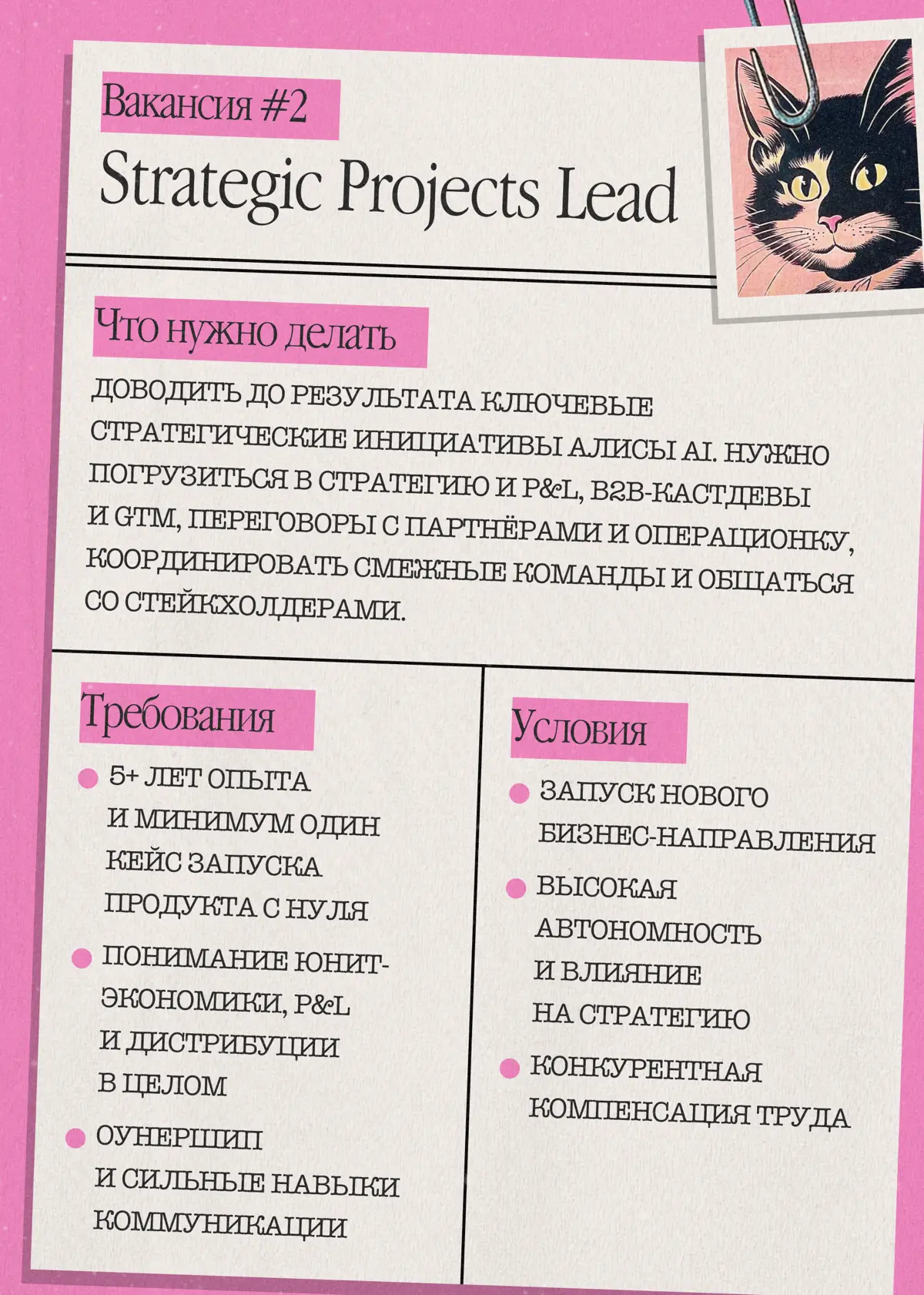 Эксклюзив для Найм-тайм: горячие вакансии, которых нигде нет | Сетка — социальная сеть от hh.ru