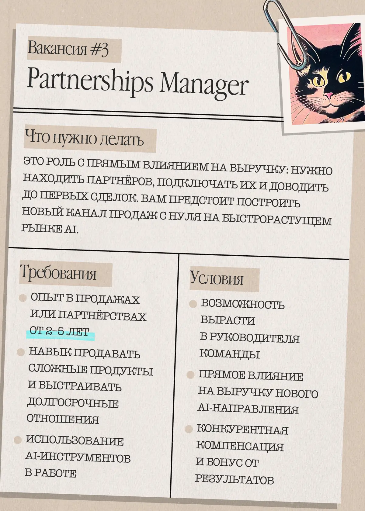 Эксклюзив для Найм-тайм: горячие вакансии, которых нигде нет | Сетка — социальная сеть от hh.ru