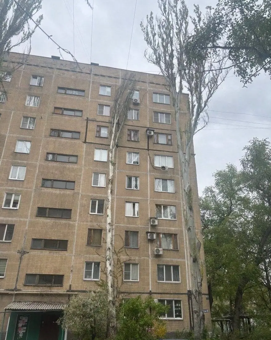 Дерево упало на дом на Ленинском проспекте, 29 | Сетка — социальная сеть от hh.ru
