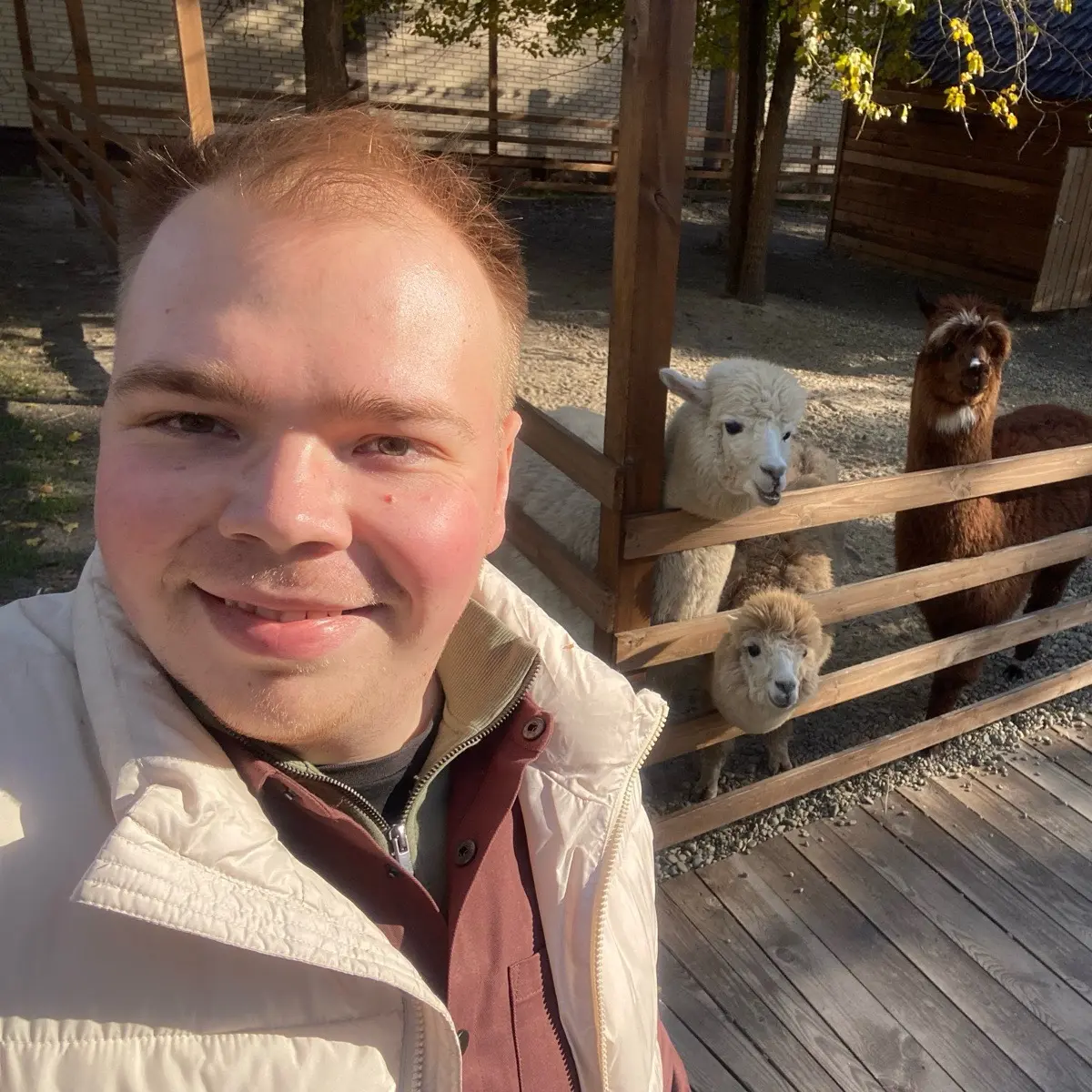 Никита Стариков | Сетка — социальная сеть от hh.ru