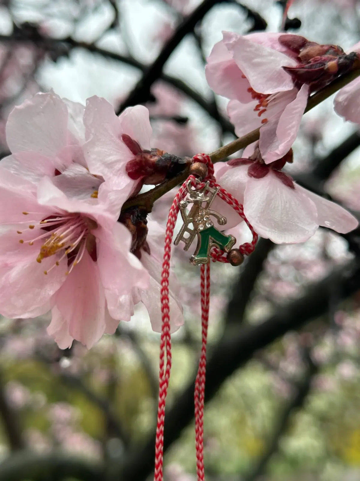 Ловлю весну в режиме нон-стоп🌸 | Сетка — социальная сеть от hh.ru