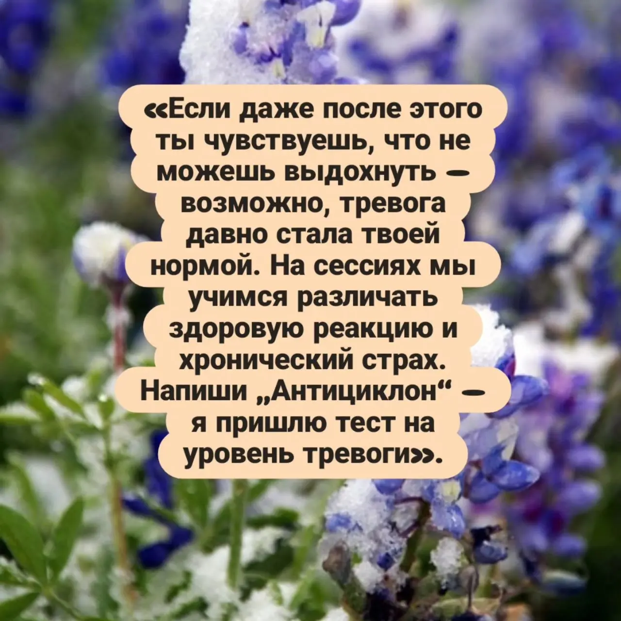 Скажи честно: последние недели как американские горки, только ты не покупала билет | Сетка — социальная сеть от hh.ru