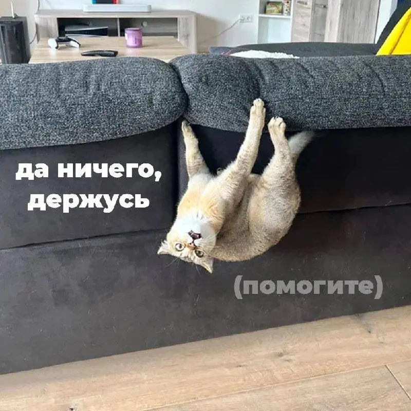 Почему отказы — это нормально (и даже полезно)
Каждый отказ — это:
— фильтр
— опыт
— тренировка
Плохая стратегия — принимать отказ на личный счёт.
Хорошая — разбирать, что можно улучшить | Сетка — социальная сеть от hh.ru