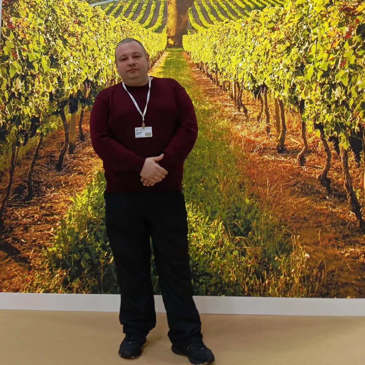 Network member avatar