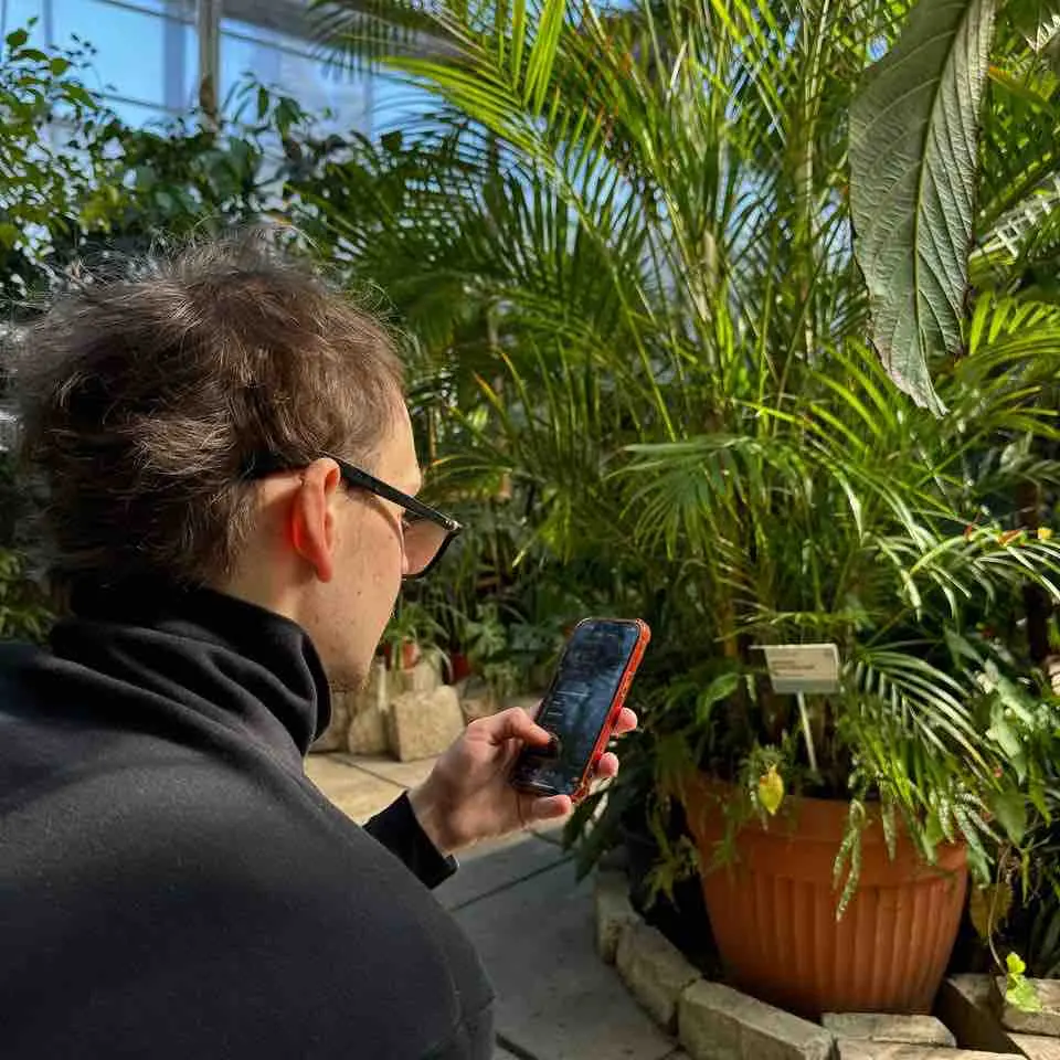 Network member avatar