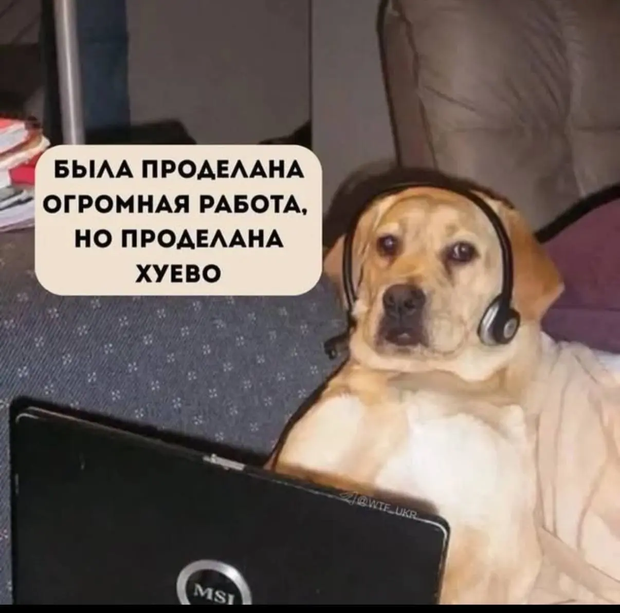 С понедельником, друзья🐯
Каждый отчетный зум перед собственником выглядит примерно так
Шутка🧚🏿‍♂️ (или нет) | Сетка — социальная сеть от hh.ru