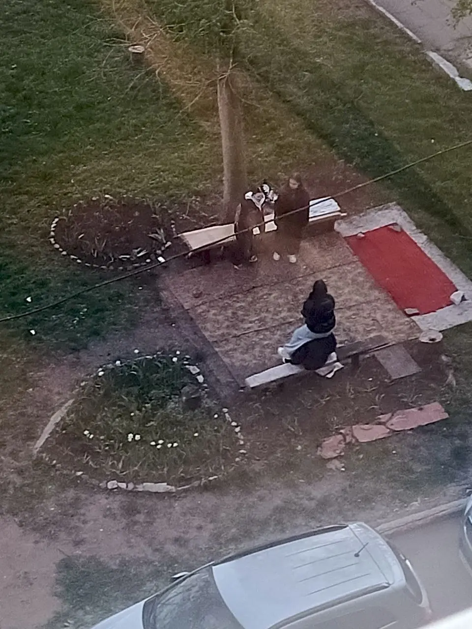 Пришли детки , в клумбе повалялись, мусором покидались, на лавочке потанцевали, друг на друге покатались. Огромное спасибо родителям за воспитанных девочек | Сетка — социальная сеть от hh.ru