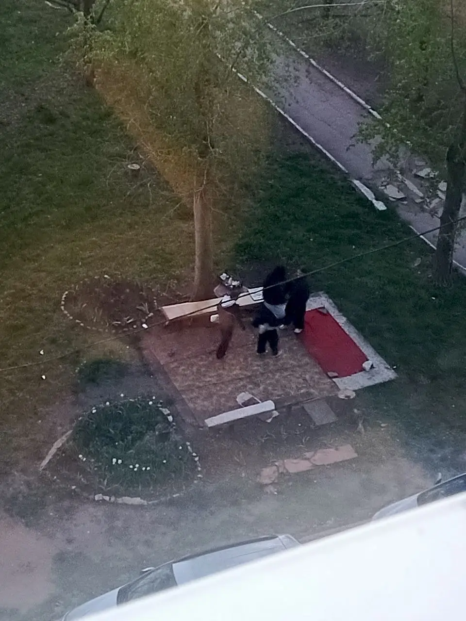Пришли детки , в клумбе повалялись, мусором покидались, на лавочке потанцевали, друг на друге покатались. Огромное спасибо родителям за воспитанных девочек | Сетка — социальная сеть от hh.ru