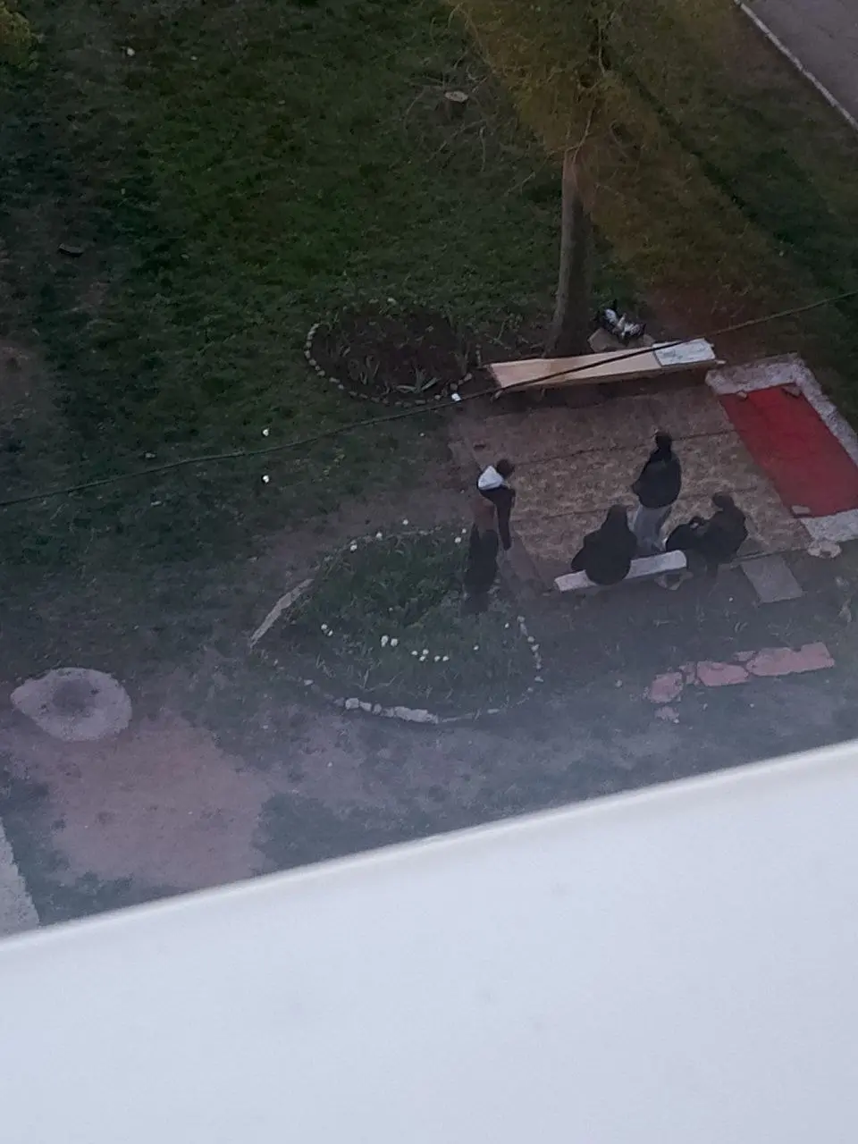Пришли детки , в клумбе повалялись, мусором покидались, на лавочке потанцевали, друг на друге покатались. Огромное спасибо родителям за воспитанных девочек | Сетка — социальная сеть от hh.ru