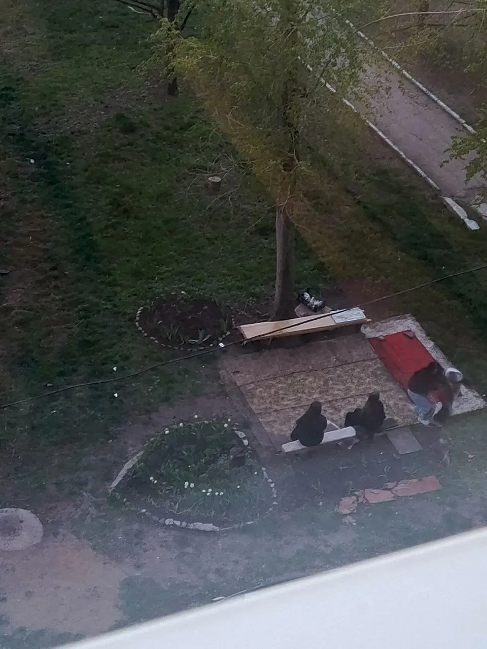Пришли детки , в клумбе повалялись, мусором покидались, на лавочке потанцевали, друг на друге покатались. Огромное спасибо родителям за воспитанных девочек | Сетка — социальная сеть от hh.ru