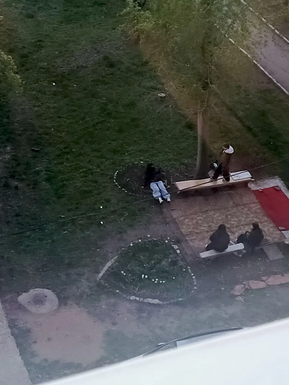 Пришли детки , в клумбе повалялись, мусором покидались, на лавочке потанцевали, друг на друге покатались. Огромное спасибо родителям за воспитанных девочек | Сетка — социальная сеть от hh.ru