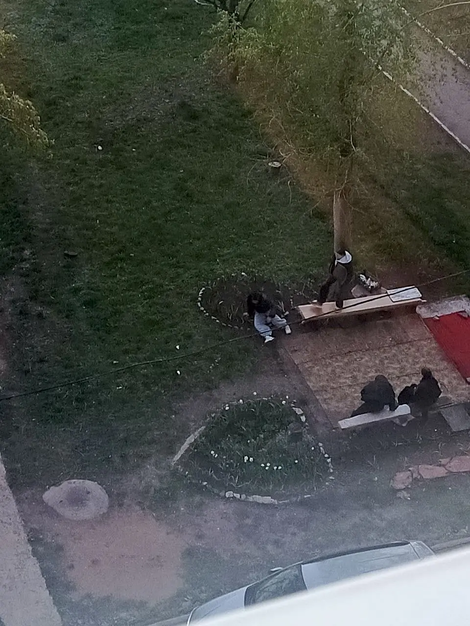 Пришли детки , в клумбе повалялись, мусором покидались, на лавочке потанцевали, друг на друге покатались. Огромное спасибо родителям за воспитанных девочек | Сетка — социальная сеть от hh.ru