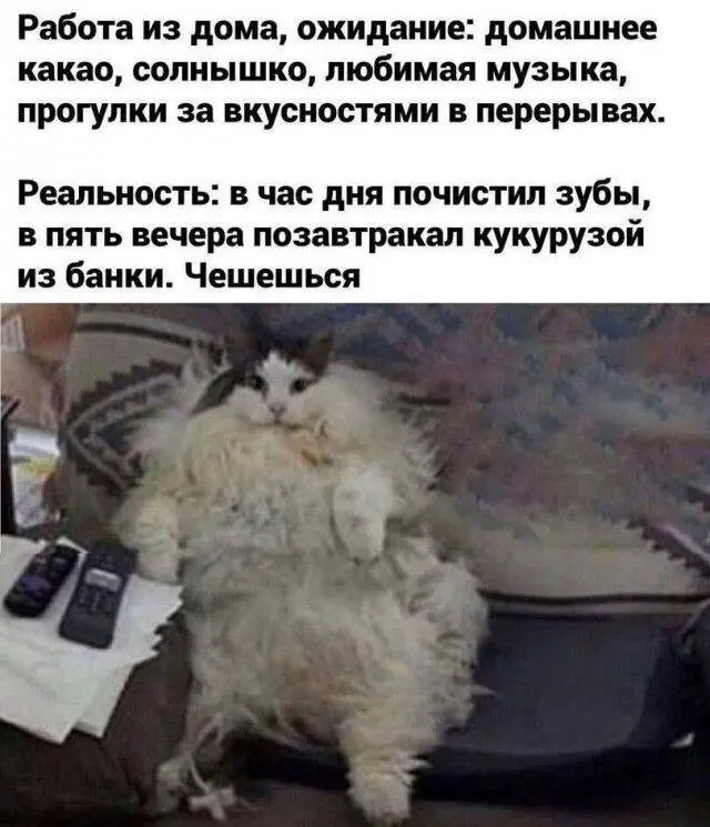 Коллеги, как ваш work-life balance? | Сетка — социальная сеть от hh.ru