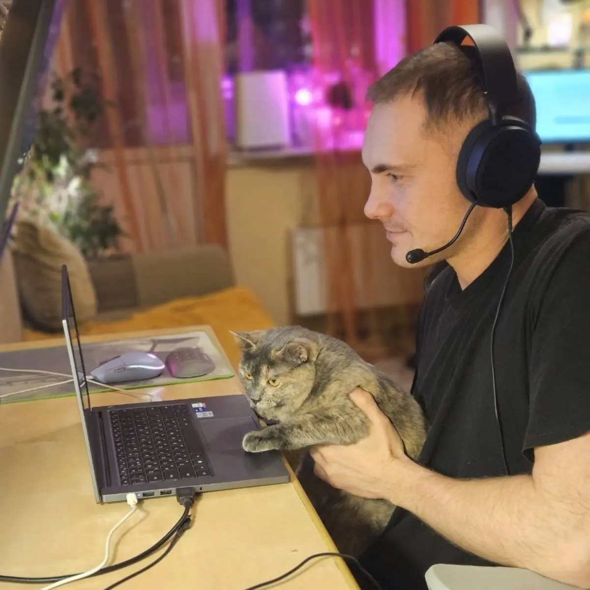 Network member avatar