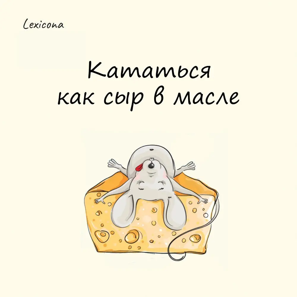 Кататься как сыр в масле
В старину, чтобы сыр не черствел и долго оставался свежим, огромную сырную голову клали в бочонок со сливочным маслом | Сетка — социальная сеть от hh.ru