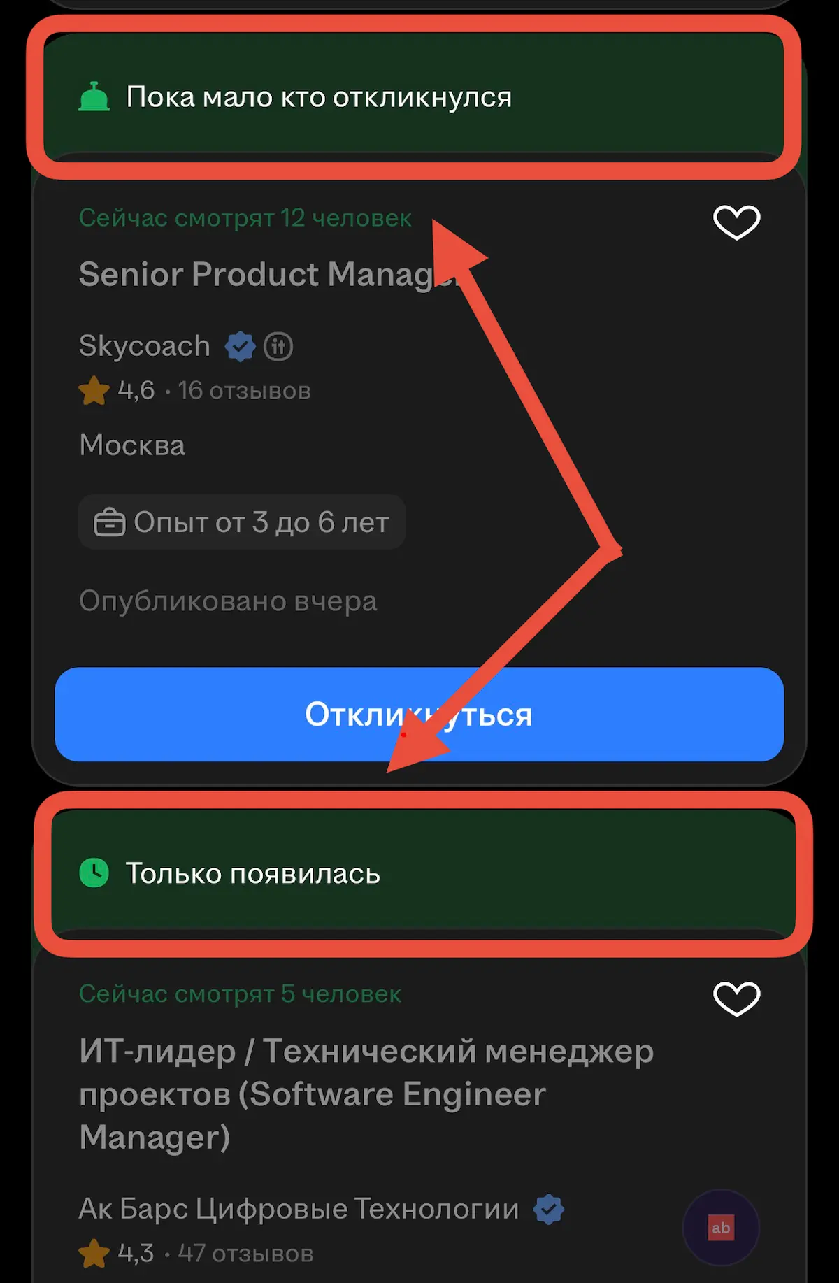 HH, ТЕБЕ ТАМ НОРМАЛЬНО? | Сетка — социальная сеть от hh.ru