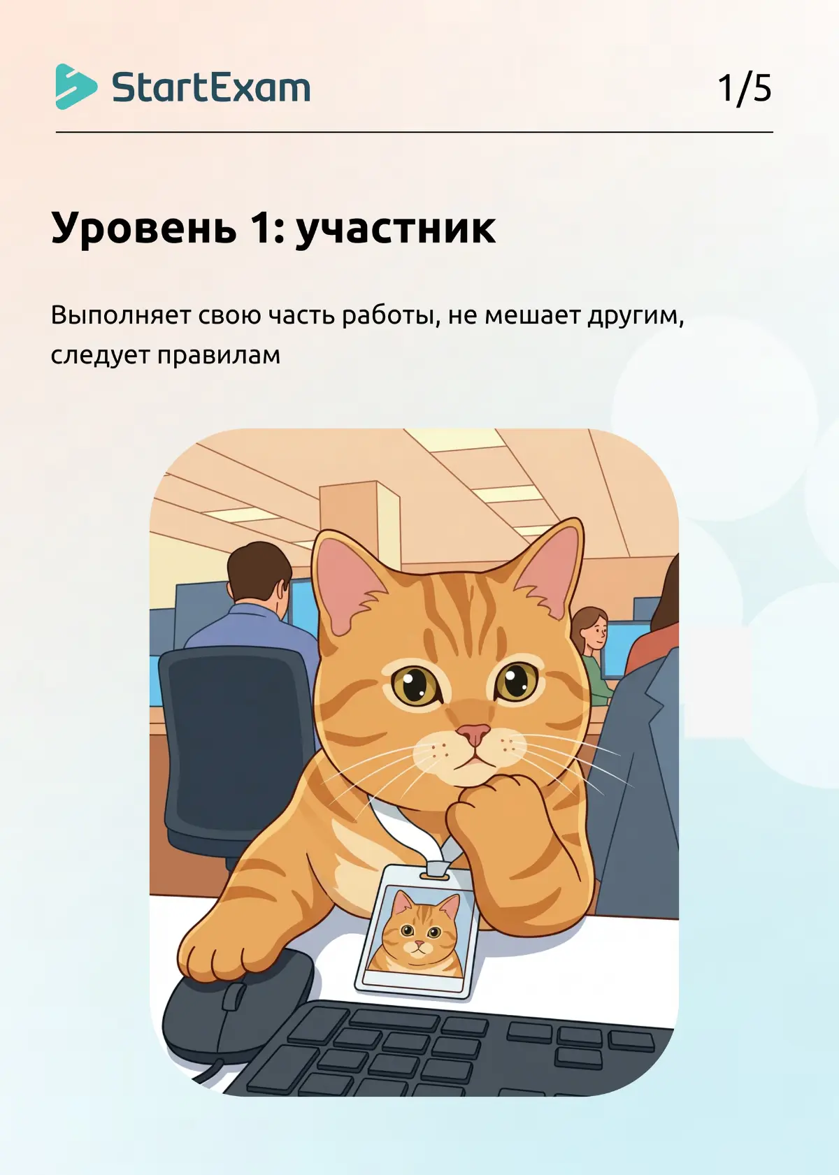 Что такое умение работать в команде? | Сетка — социальная сеть от hh.ru
