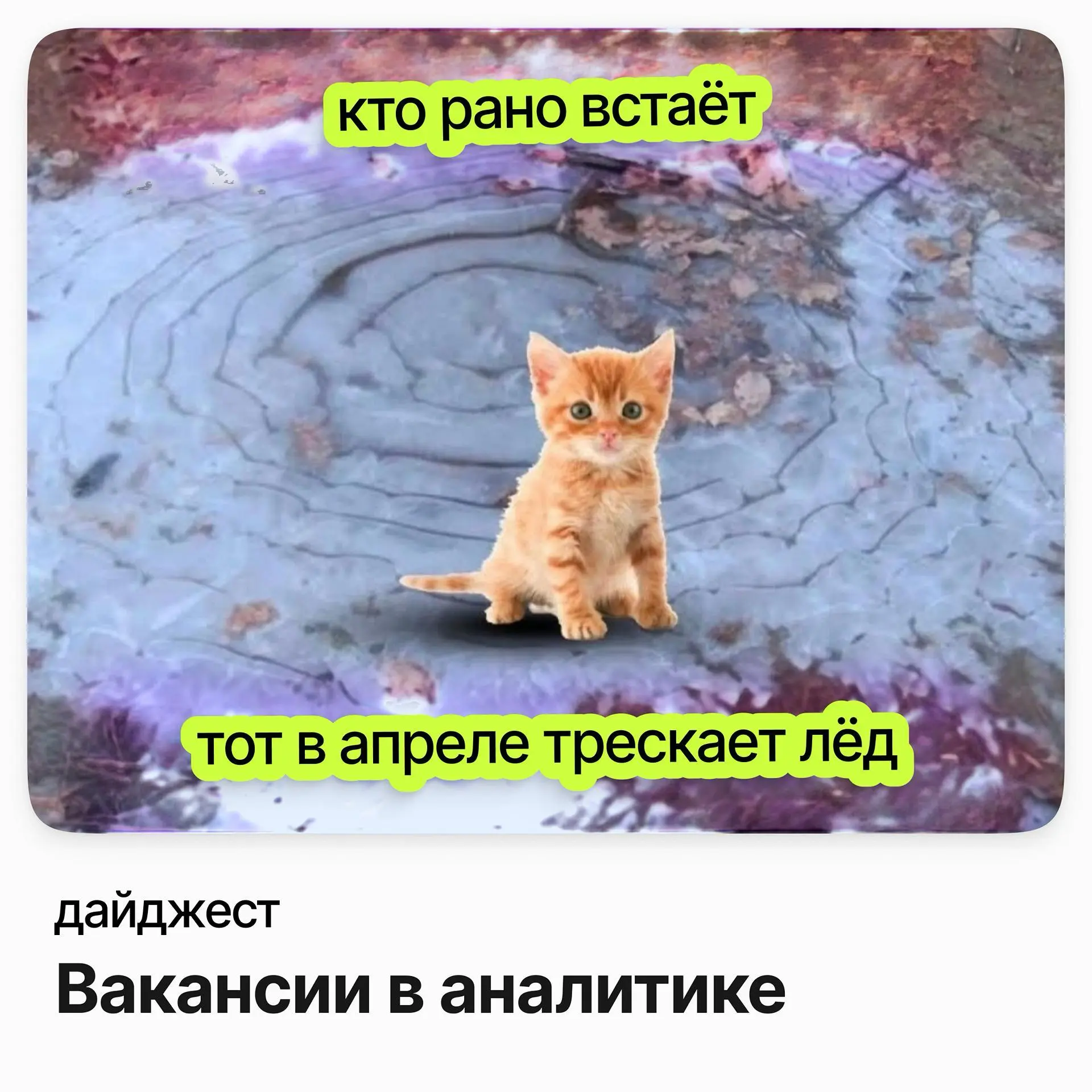 Вакансии в аналитике | Сетка — социальная сеть от hh.ru