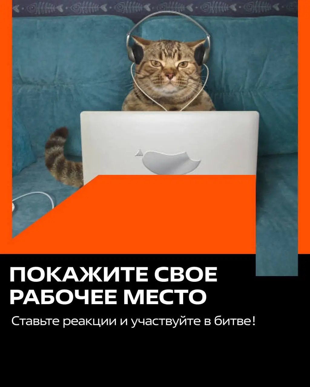 УСТРОИМ БИТВУ? Покажите своё рабочее место 😎
Где вы работаете? В уютном офисе, на станции среди инструментов, за ноутбуком дома или в переговорке с видом на город?Кидайте фото своего рабочего места в ... | Сетка — социальная сеть от hh.ru