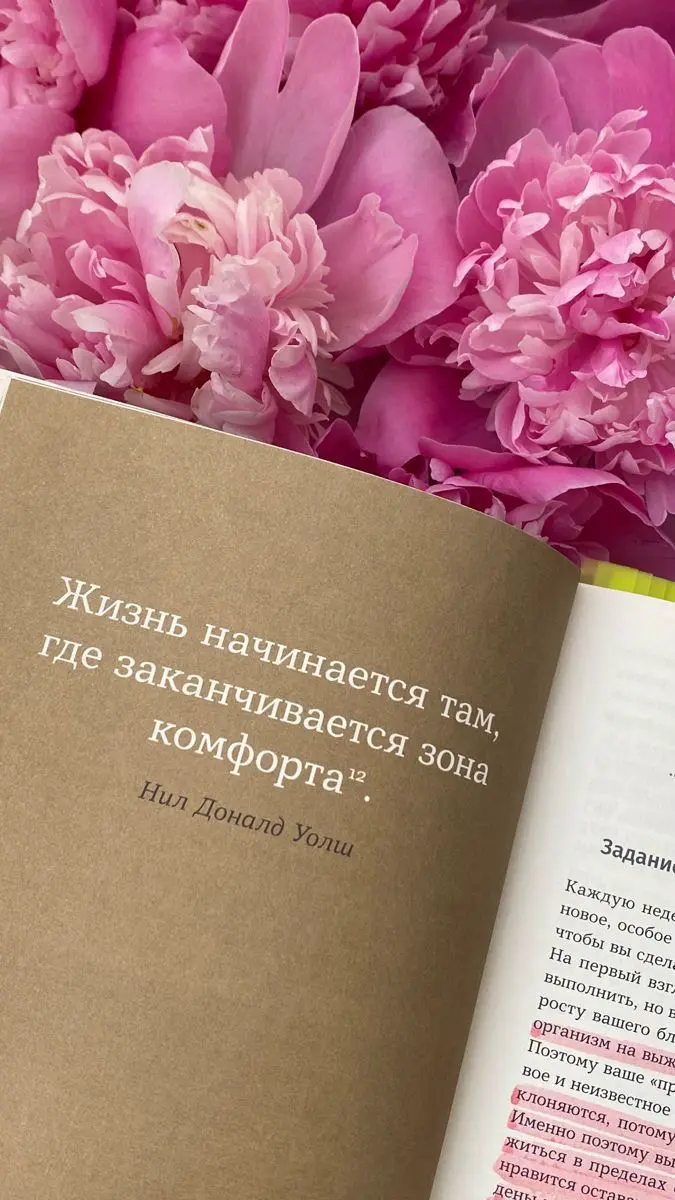 Сетка — социальная сеть от hh.ru