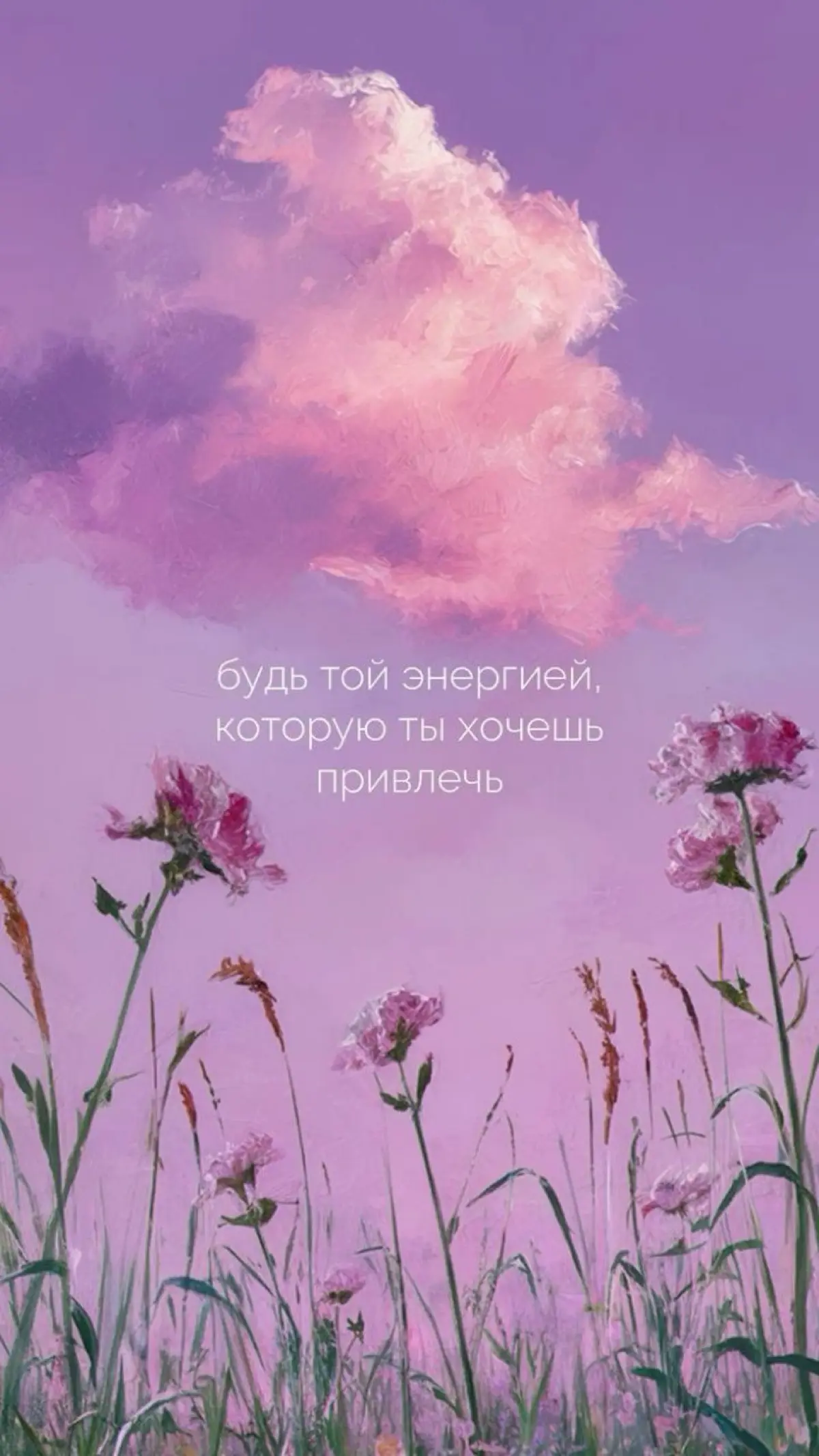 Сетка — социальная сеть от hh.ru