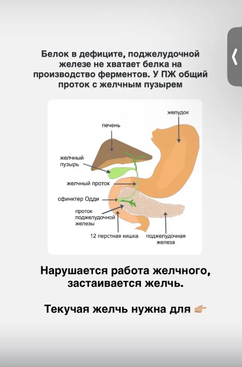 Пример разбора опросника на бесплатной диагностике | Сетка — социальная сеть от hh.ru