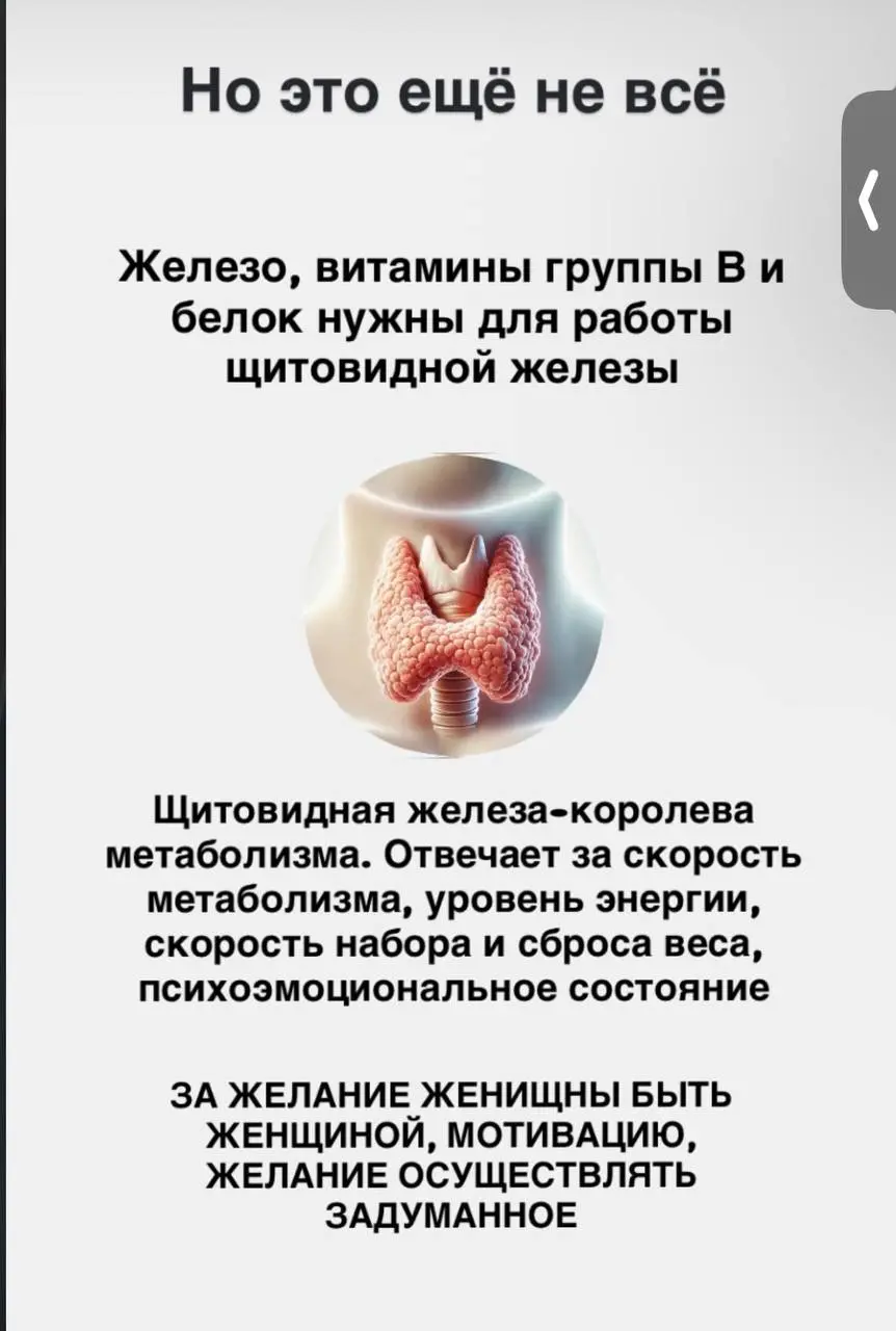 Пример разбора опросника на бесплатной диагностике | Сетка — социальная сеть от hh.ru