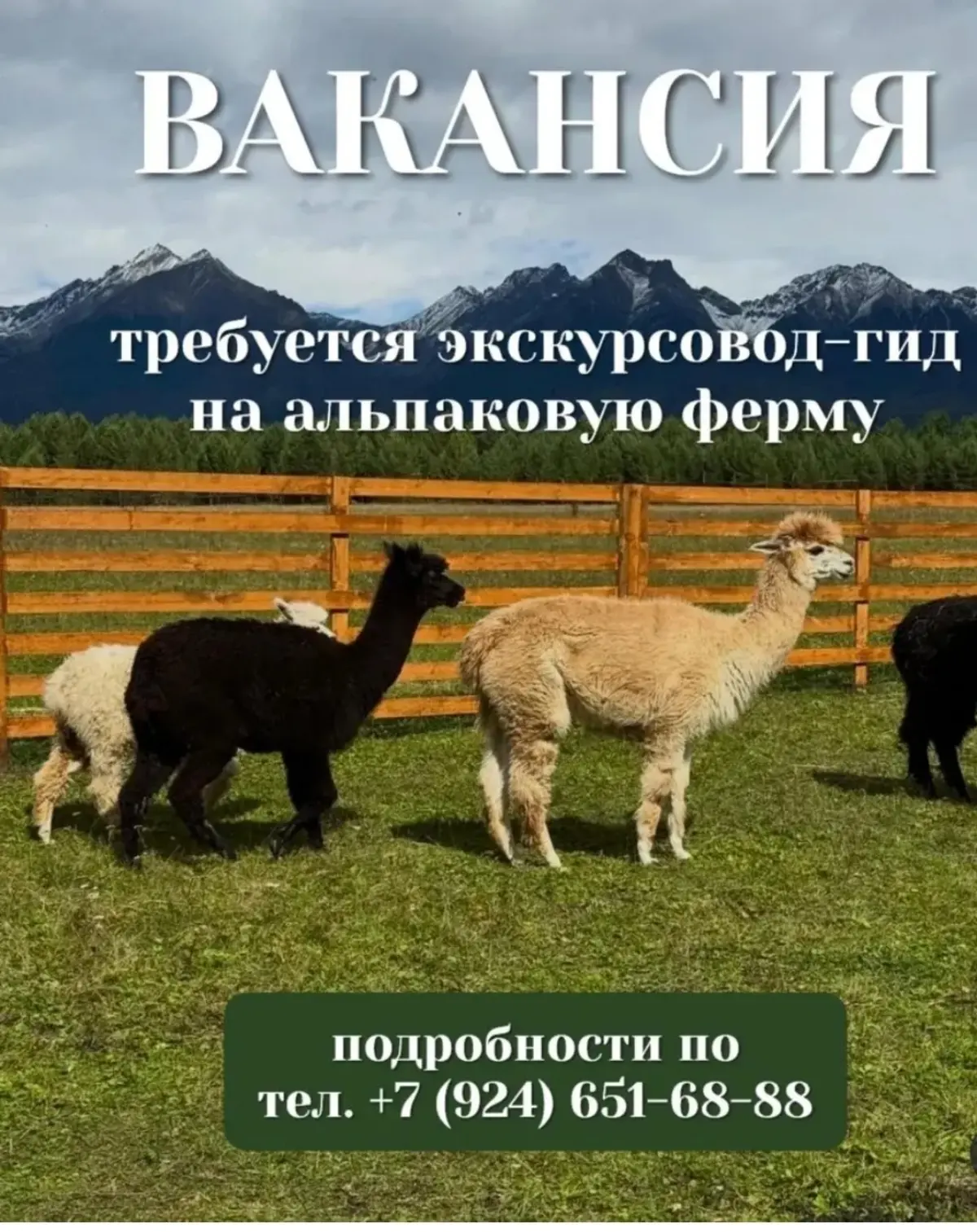 Вакансия экскурсоводом | Сетка — социальная сеть от hh.ru