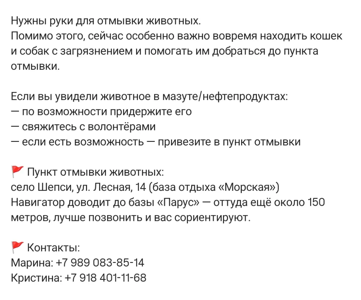 В Туапсе жизненно необходимы волонтёры | Сетка — социальная сеть от hh.ru