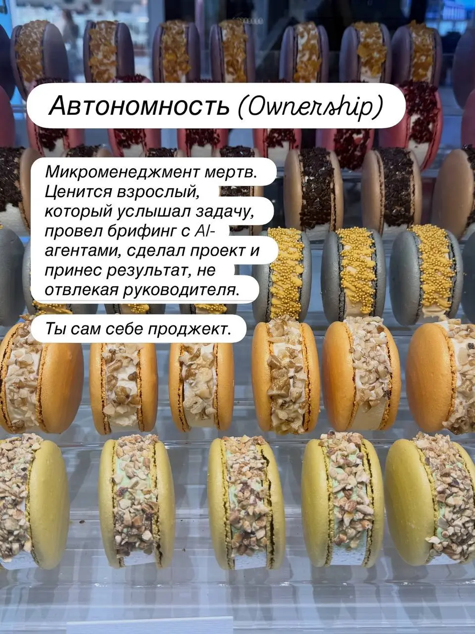 ⚙️ Сотрудник 2026: новый золотой стандарт
Первую часть про ТОП-менеджмент разобрали вчера. Сегодня — про команду. Про тех, на ком реально держится бизнес.
AI забирает рутину | Сетка — социальная сеть от hh.ru