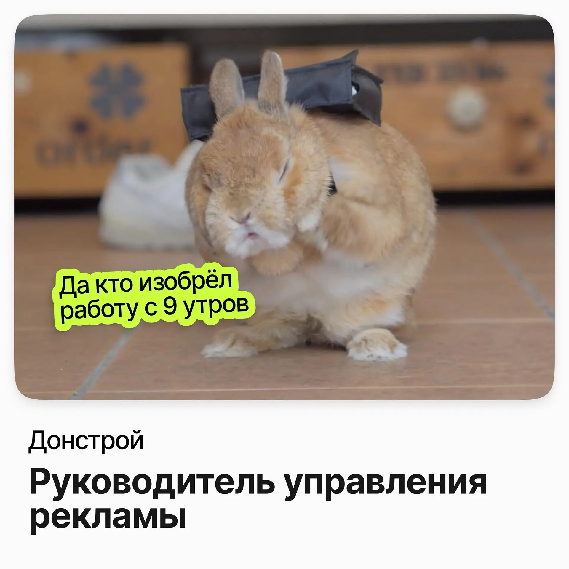 Руководитель управления рекламы / Донстрой | Сетка — социальная сеть от hh.ru