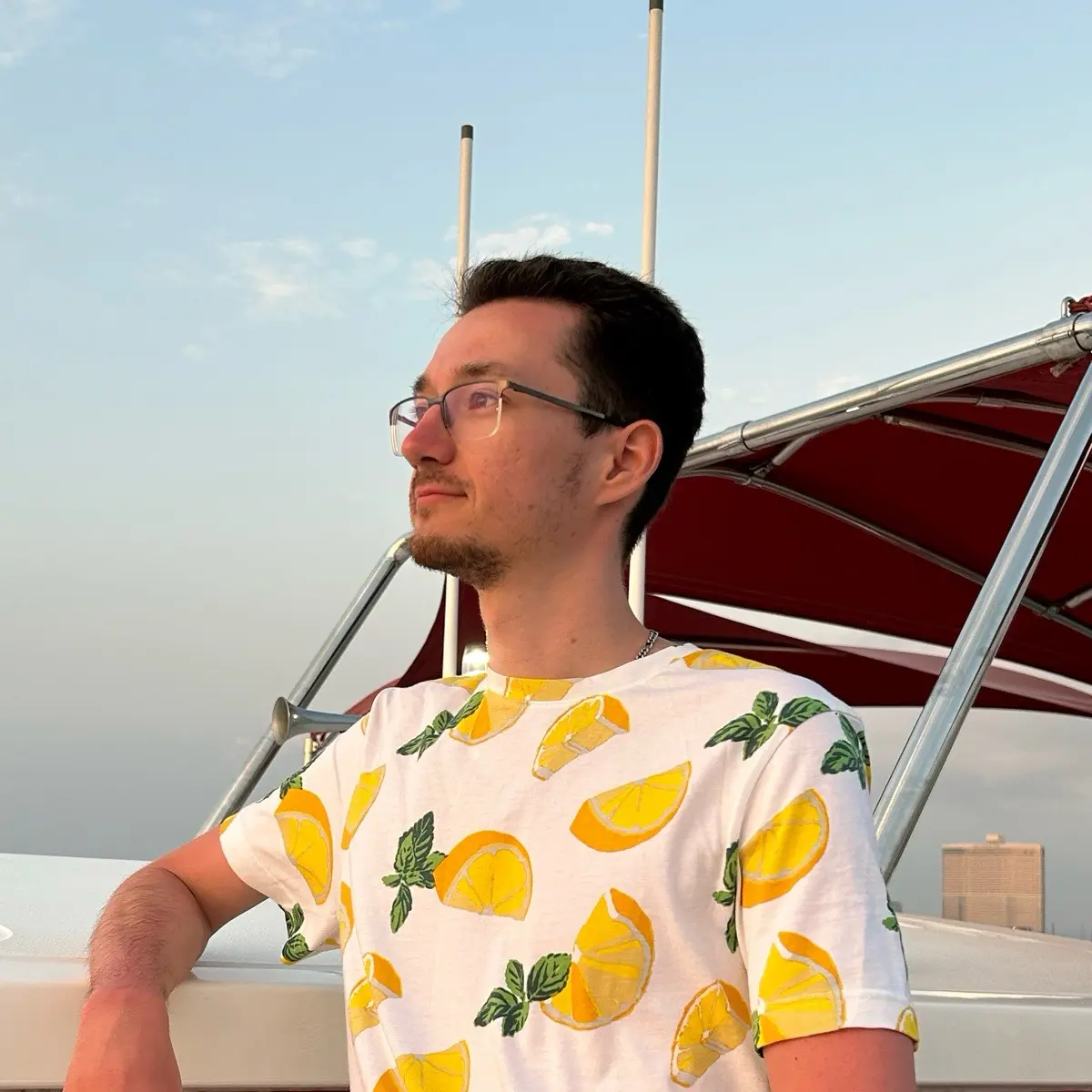 Network member avatar