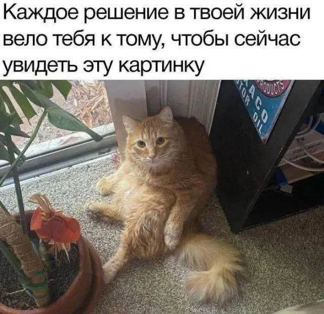 Улучшаем жизнь на автомате | Сетка — социальная сеть от hh.ru