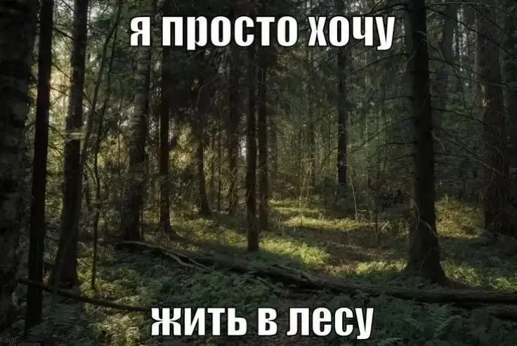 После просмотра новостей | Сетка — социальная сеть от hh.ru