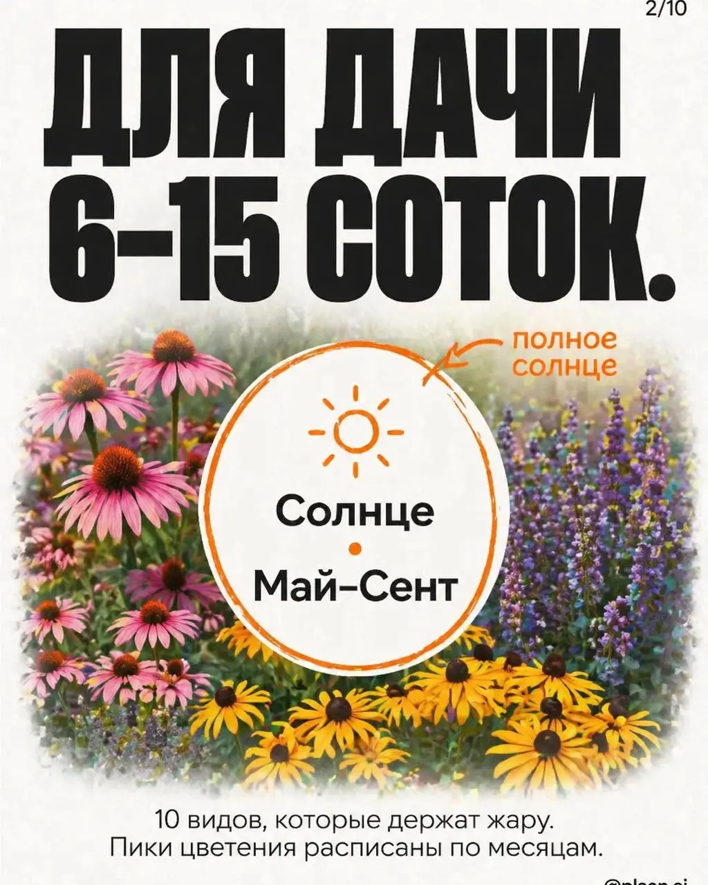 Вызов принят — и вот результат.
В комментариях спросили "а можно?", агент ответил "есть".
Я просто прописал примитивный запрос "ландшафтный дизайн". На этом моя работа над этой каруселью закончилась | Сетка — социальная сеть от hh.ru
