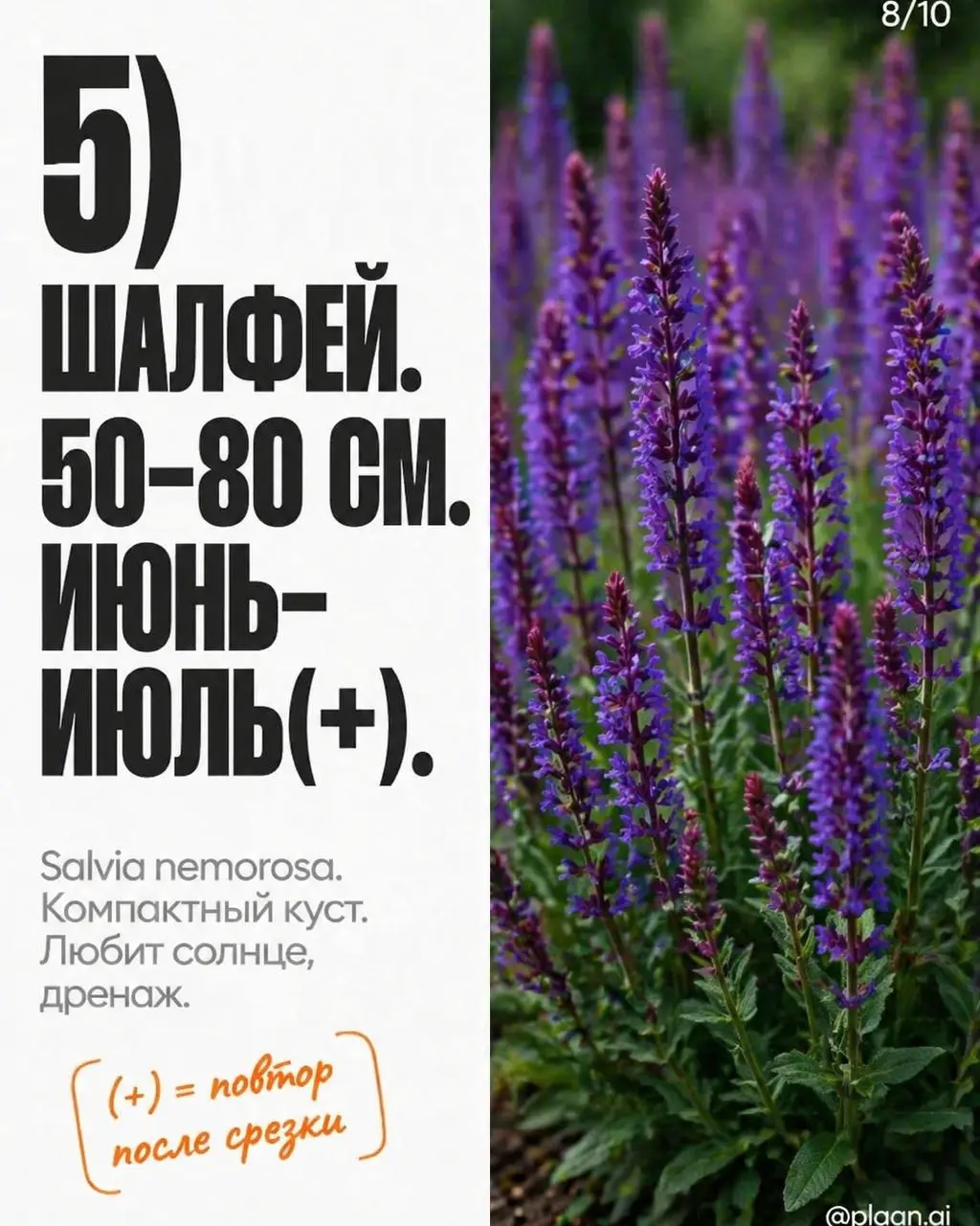 Вызов принят — и вот результат.
В комментариях спросили "а можно?", агент ответил "есть".
Я просто прописал примитивный запрос "ландшафтный дизайн". На этом моя работа над этой каруселью закончилась | Сетка — социальная сеть от hh.ru